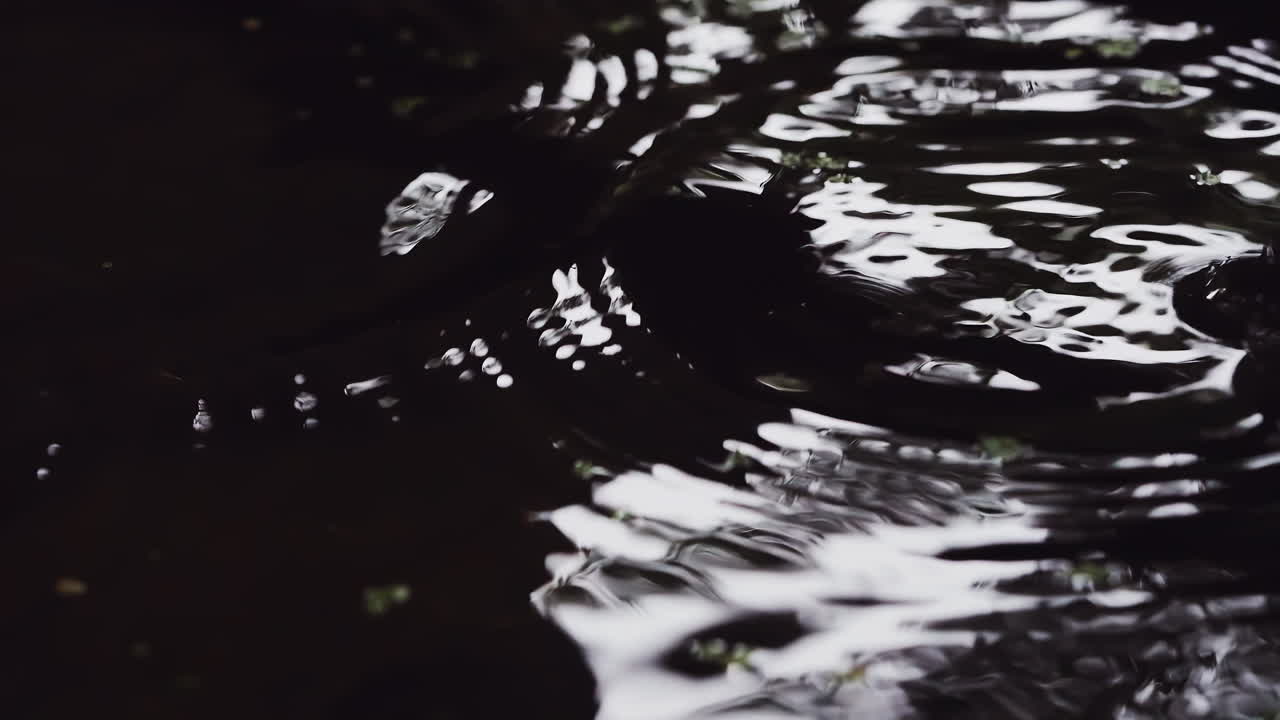 Water Droplet Impacting Liquid Surface