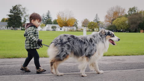 Un-Niño-Asiático-Caminando-Con-Un-Gran-Perro-Pastor-En-El-Parque.