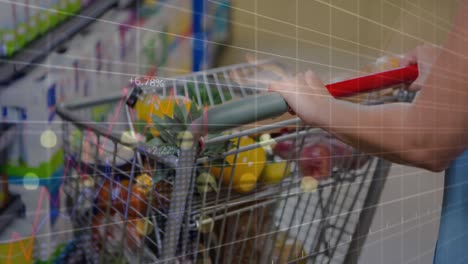 animación del procesamiento de datos financieros a través del carrito de compras