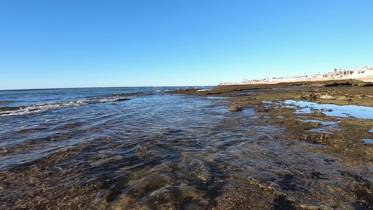 밀물이 빠지면 조수 웅덩이가 드러난다, 푸에르토 페냐스코, 캘리포니아 만, 멕시코