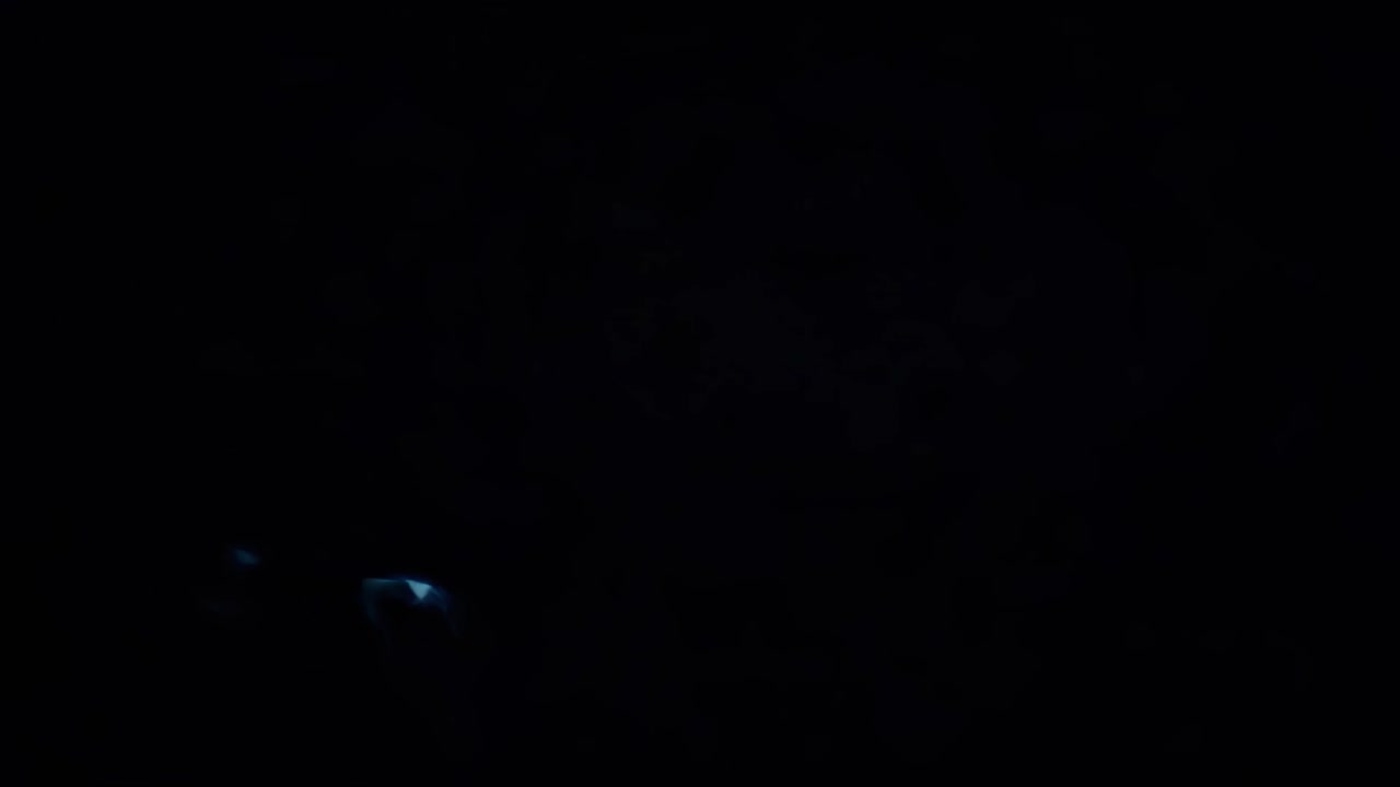 Abstract video art with concentric neon circles in pink and blue