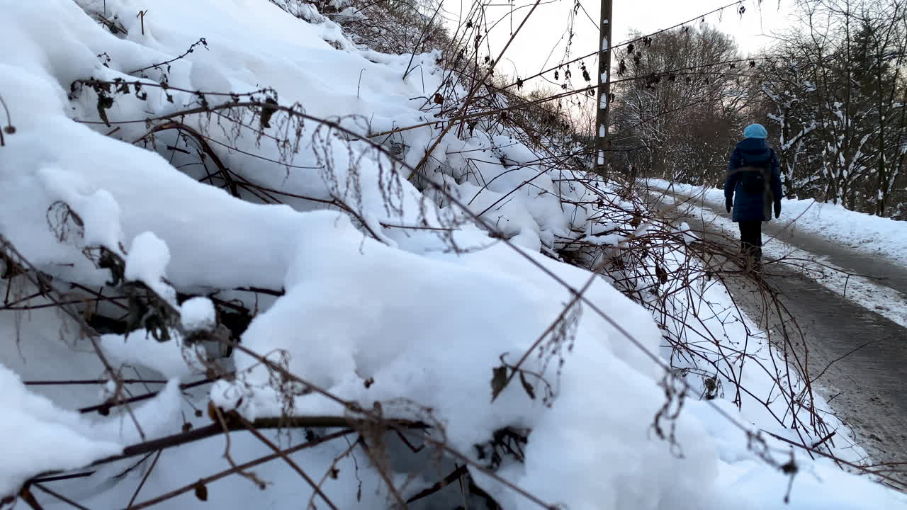 Ramas cubiertas de nieve blanca mientras una mujer camina a cámara lenta en una carretera despejada al fondo en Gdynia