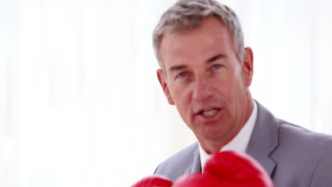 businessman boxing with red gloves