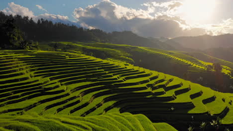 stunning rice terraces
