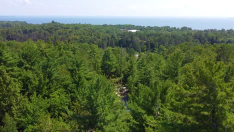 aerial drone shot over the landscape of a green forest