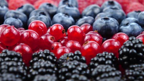 ripe raw berries of raspberry, red currant, blackberry and great bilberry, background