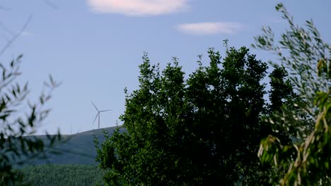 timelapse of wind fan turbine spinning on top of a hill with green nature landscape