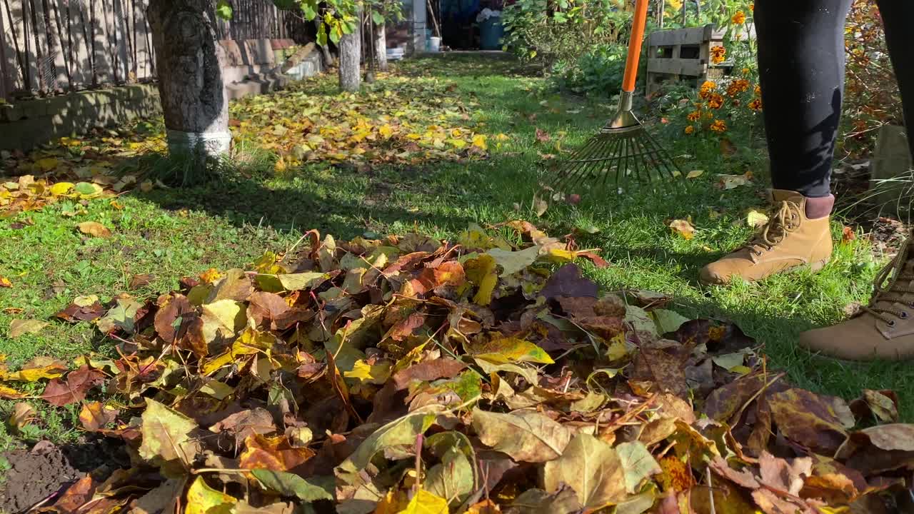 Feie tørre blader i en rotete høsthage