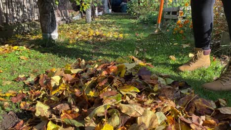 Barriendo-Las-Hojas-Secas-En-El-Desordenado-Jardín-De-La-Temporada-De-Otoño