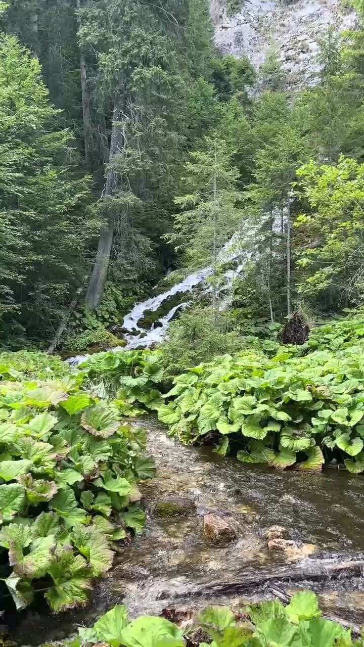 Una cascada de las montañas en un día nublado