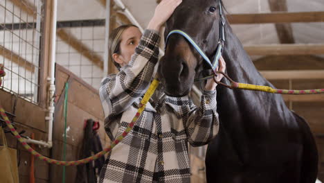 black horse is loved and caressing by her brunette jockey inside the stable