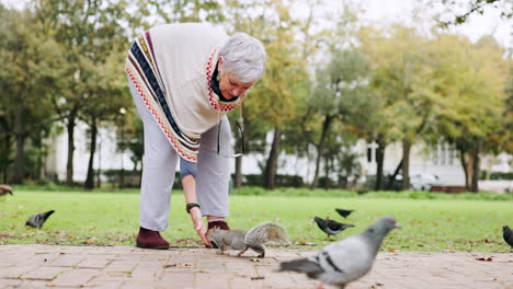 Frieden,-Eichhörnchen-Und-Fütterung-Mit-Alter-Frau