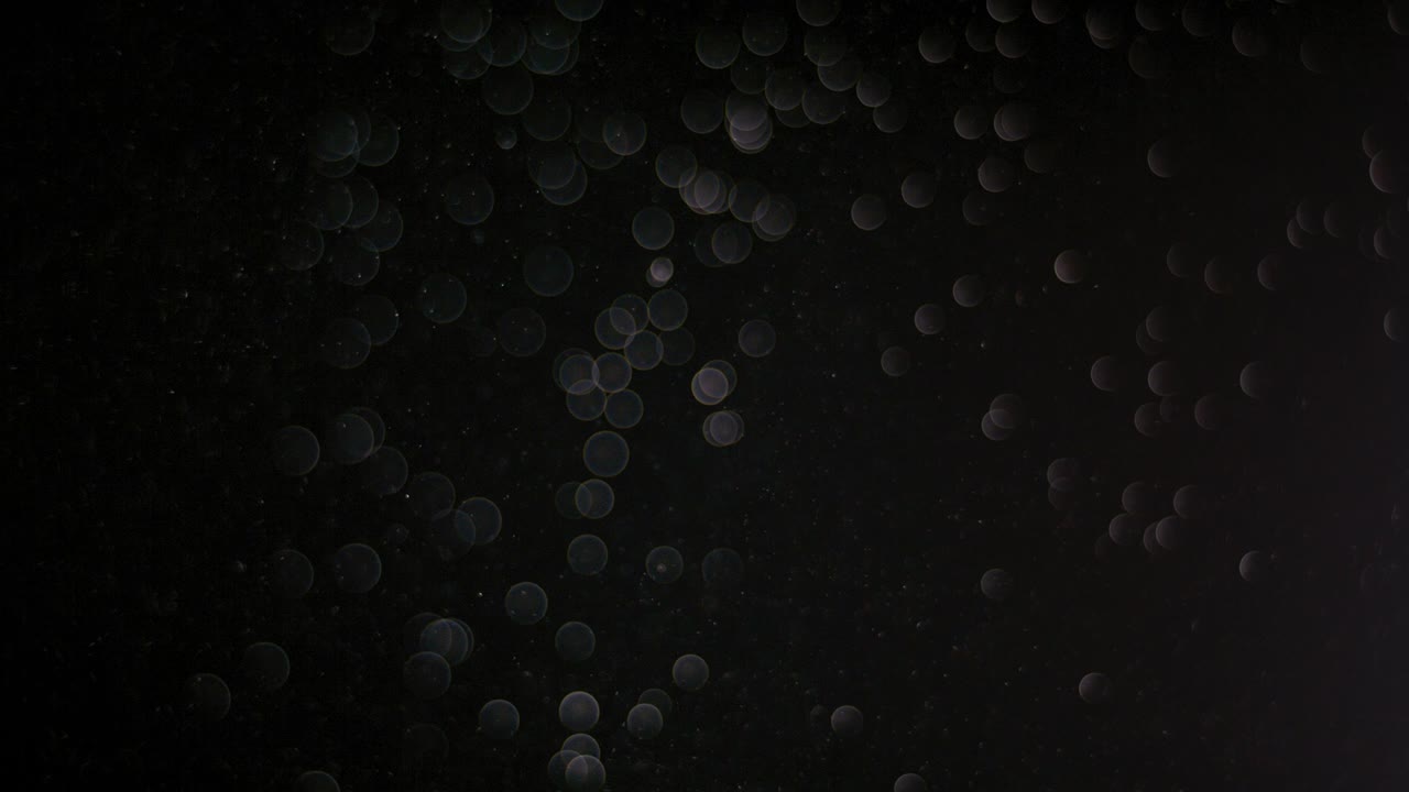 黒い背景に浮かび上がる粉