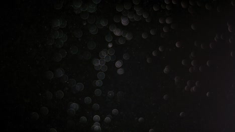 黒い背景に分離された粉末