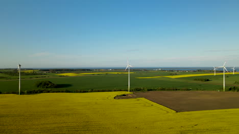 drone flies up over puck wind farm park on rapeseed and wheat fields, aerial daytime poland