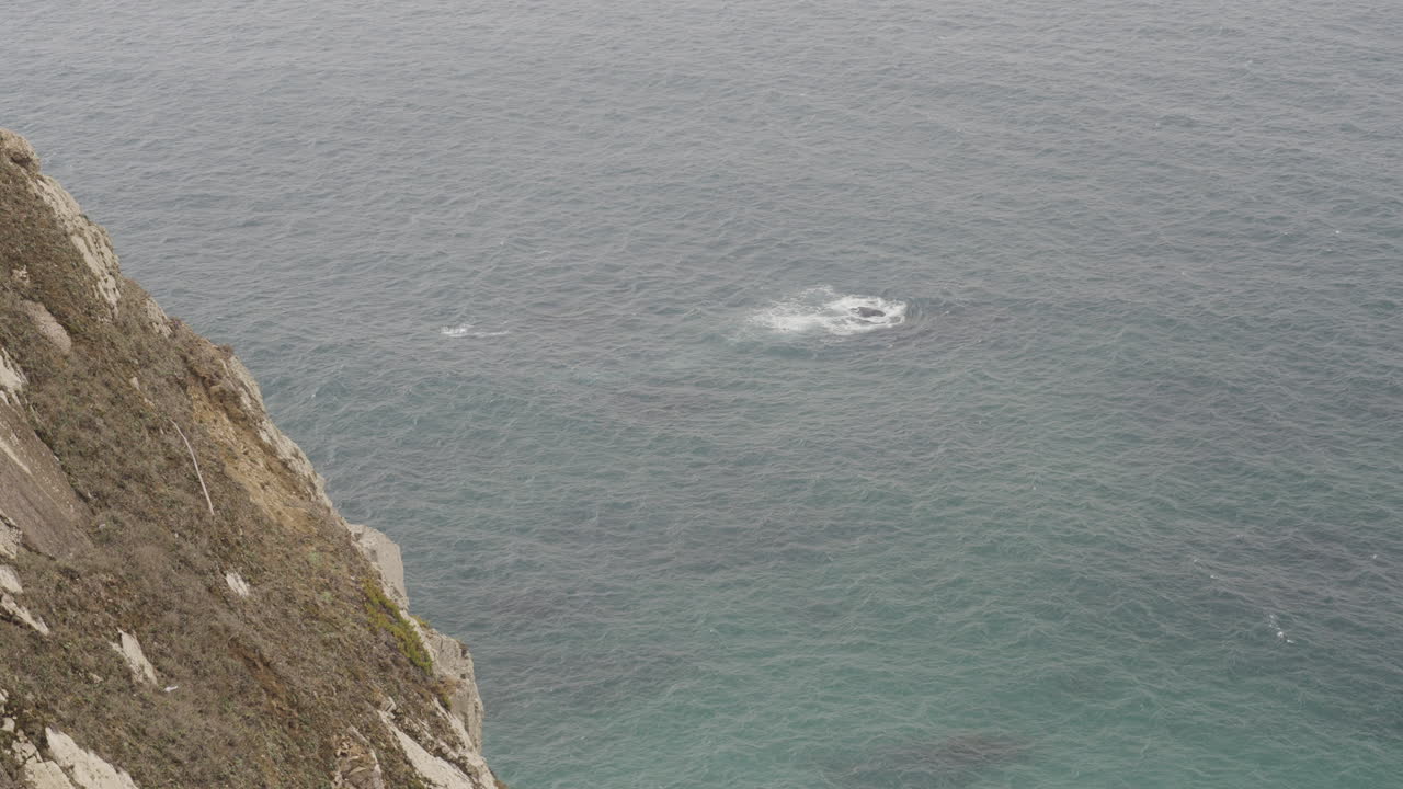 Ocean View from a Cliff