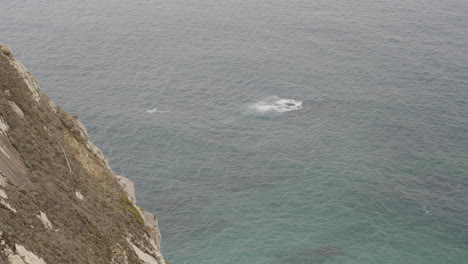 ocean view from a cliff