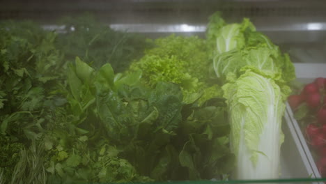 fresh vegetables in a refrigerated display