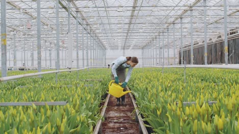 woman watering flowers in greenhouse