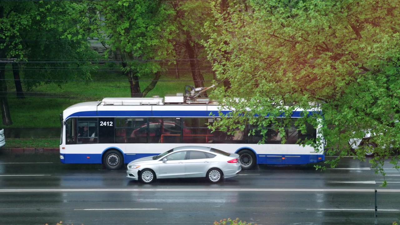 Vehicles travel along a wet urban roadway during rainfall, with green trees lining the street and reflections shimmering on the asphalt