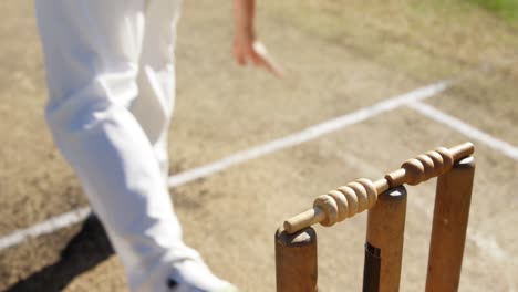 Bowler-Liefert-Ball-Während-Eines-Cricketspiels