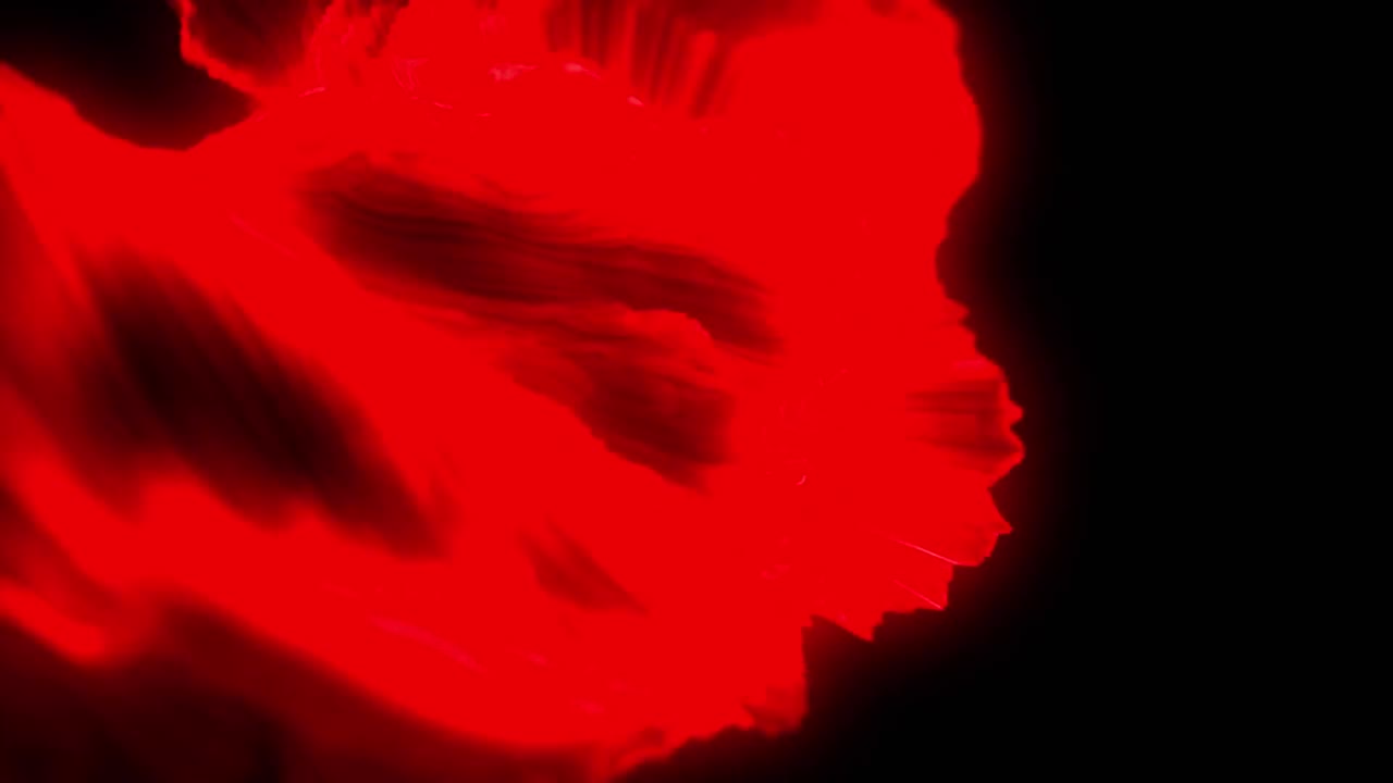 검은 바탕에 떨어지는 가을 잎의 애니메이션