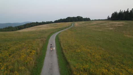 lady walks white labrador dog on trail of flowers, meadow