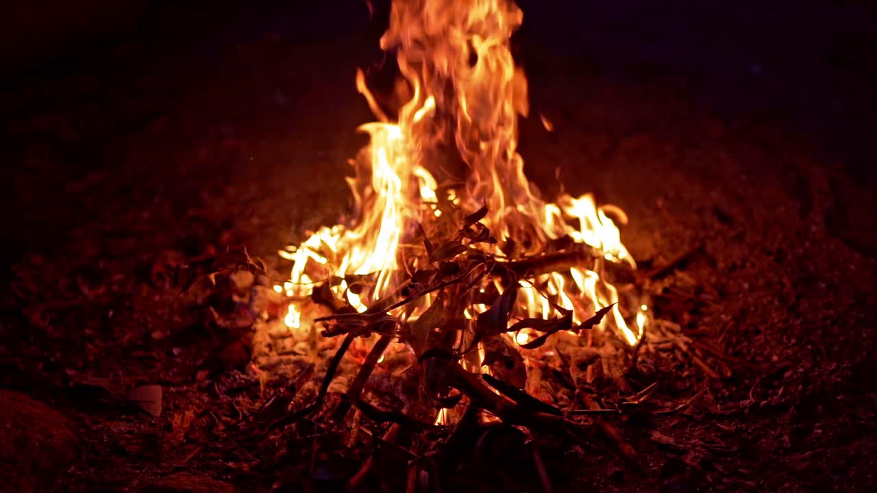 Wood Burning On Fire. Close up view of bonfire flames of camping fire