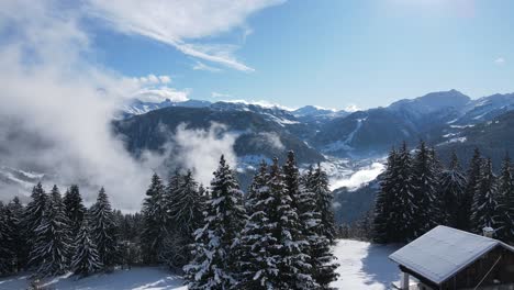 Fir-trees-and-small-cottages-on-snowy-mountain-slope-in-winter