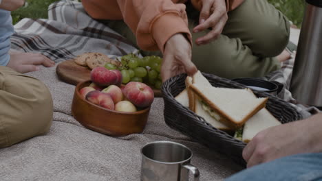 a group enjoys a picnic with fruits and sandwiches