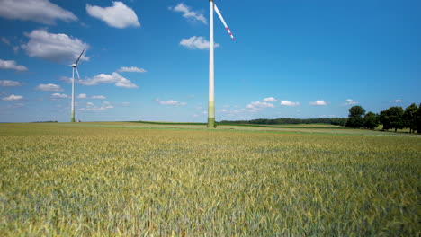 Windturbinenfeld,-Mischung-Aus-Natur,-Technologie,-Ruhe-Der-Landschaft