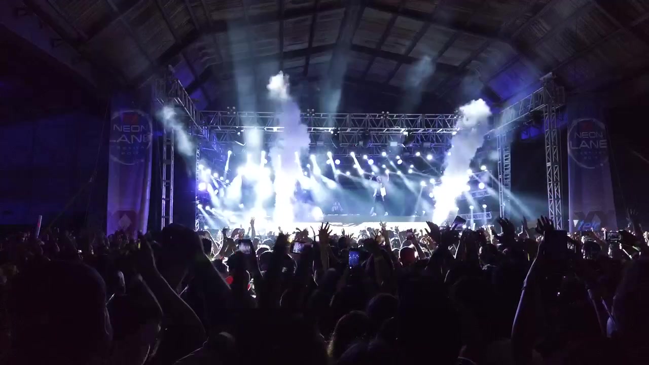 Folla euforica a un concerto EDM