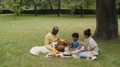 african american family with dog having picnic in park