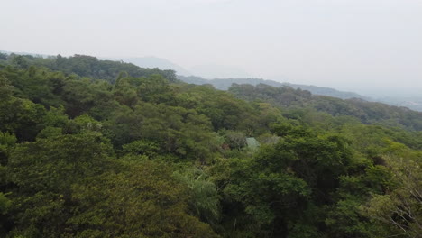 A-dron-shot-flying-over-the-hills-and-forest