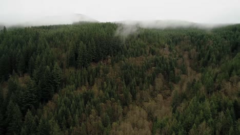 Cinematic-aerial-up-forested-mountainside,-summit-disappears-into-clouds