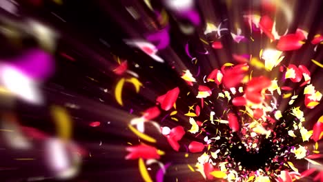 pétalos coloridos. pétalos brillantes en espiral de flores. patrón de flores. pétalo muy danzante. vórtice de pétalos giratorios. animación de bucle abstracto.