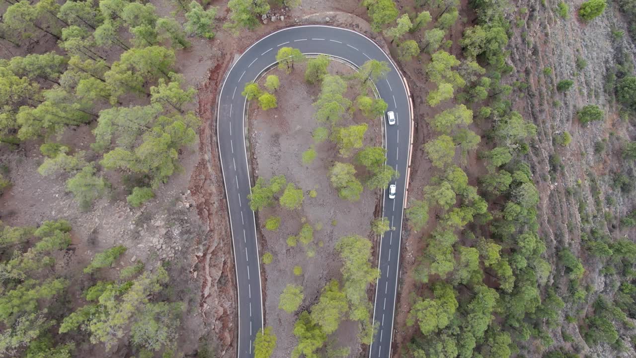 disparo aéreo de una curva de carretera en u en el bosque