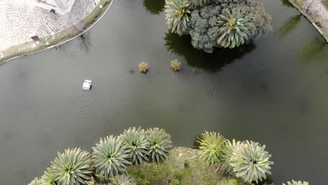 aerial-view-of-a-boat-sailing-on-the-lake-in-the-park-with-palm-trees-Montevideo,-Uruguay