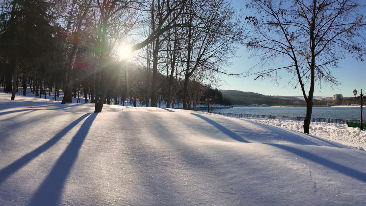 Frozen forest covered in white snow and glowing bright sun in winter