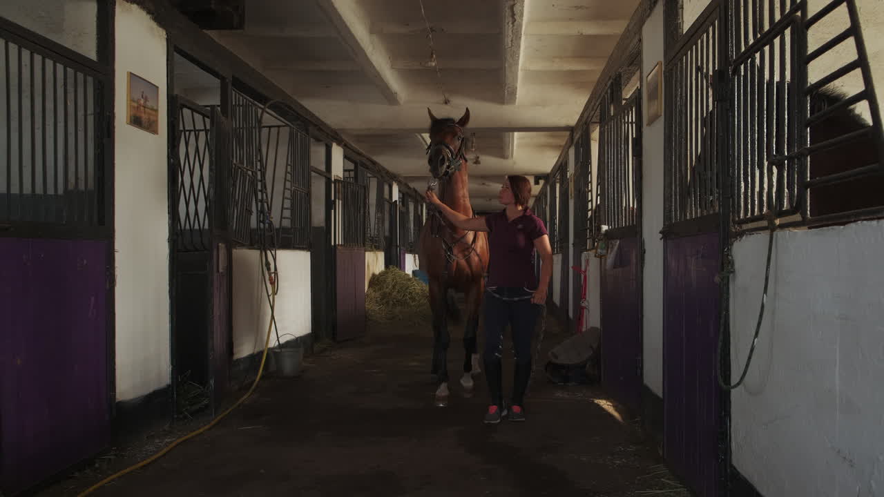 mujer caminando a caballo en el establo