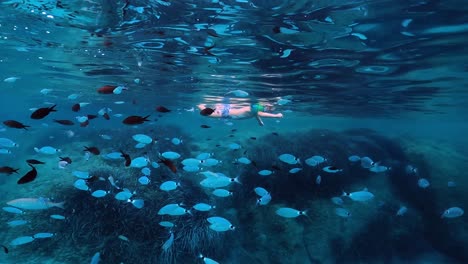 Underwater-slow-motion-view-of-child-swimming-with-inflatable-armbands-in-middle-of-big-school-of-fish-in-deep-blue-water