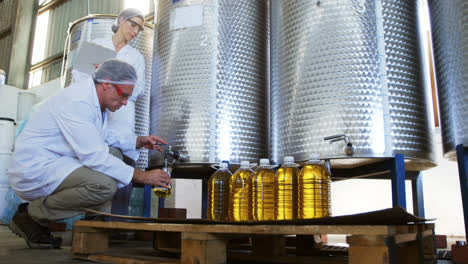 technician examining olive oil