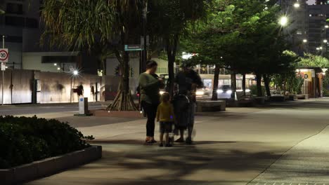 people walking through a city park at night