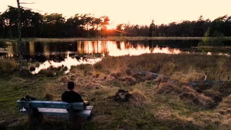 sunset over a serene forest lake with a person in the foreground.