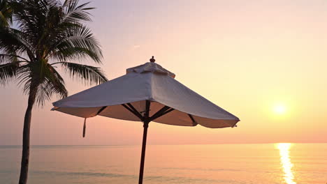 Coconut-tree-and-sunshade-parasol-at-deserted-beach,-golden-hour-sunlight-above-tropical-sea,-full-frame