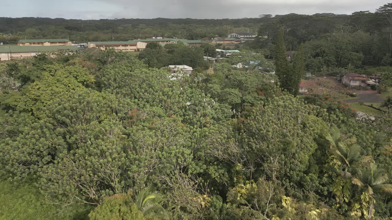 pahoa, el barrio está cerca de una selva verde y exuberante, con un denso follaje.