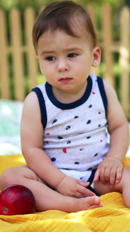 calm caucasian baby boy sitting in the garden on a plaid. cute child watching peacefully the soap bubbles flying beside him. red apples in the box near kid. vertical video