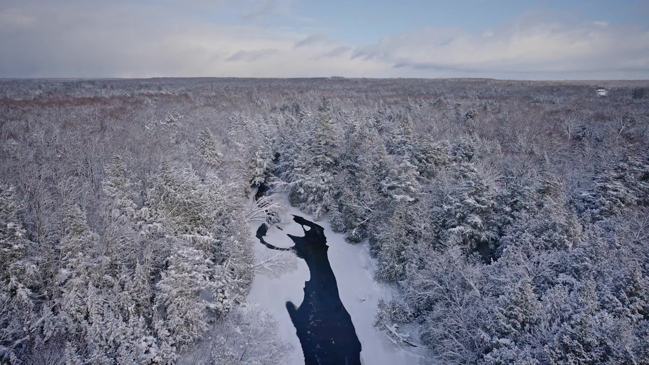 Splendide riprese aeree di una foresta invernale avvolta nella neve con un fiume serpeggiante sottostante nel Michigan settentrionale