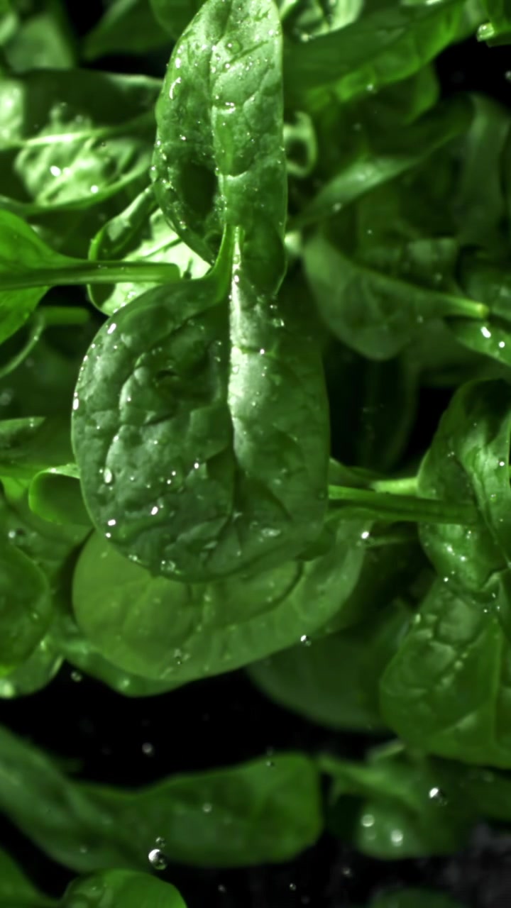 Foglie di spinaci freschi e verdi con goccioline d'acqua che cadono al rallentatore