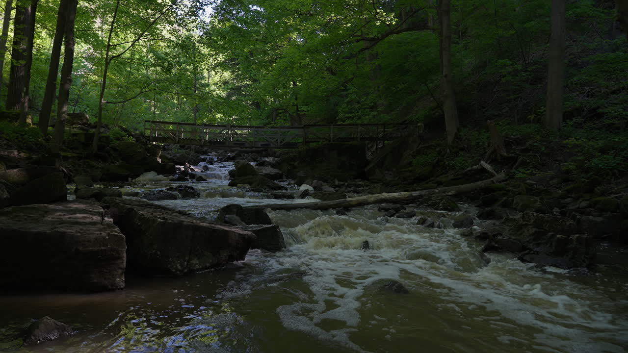 Flowing creek with rocks and bridge in lush green forest, peaceful nature scene